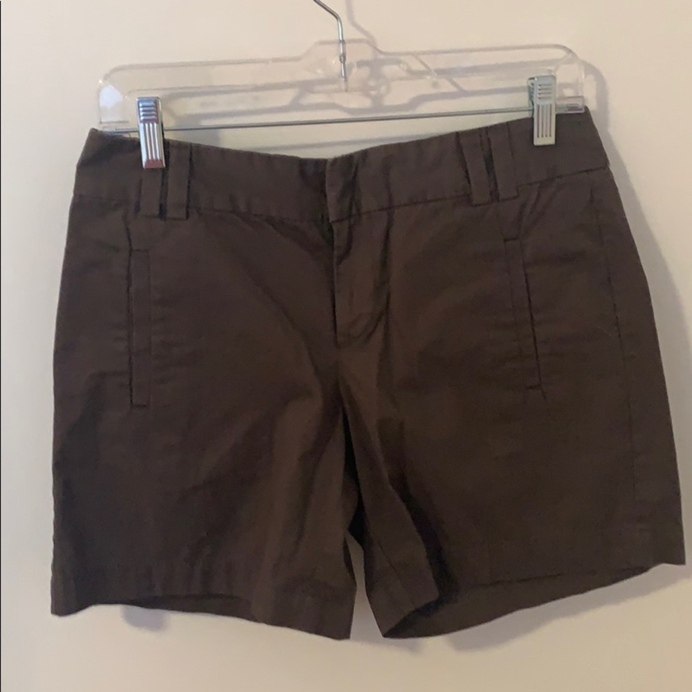 Dark Brown Loft by Ann Taylor Shorts